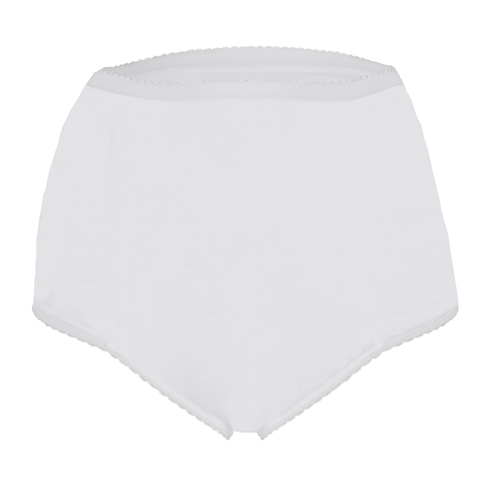 Ladies Absorbent Plus Brief (3500APBX) Plus Sizes Ladies Absorbent Plus Brief (3500APBX) Plus Sizes
